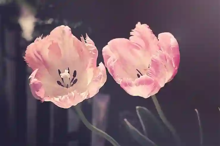 유튜브 검색기록 삭제(알고리즘 초기화) 시청기록 중지 방법