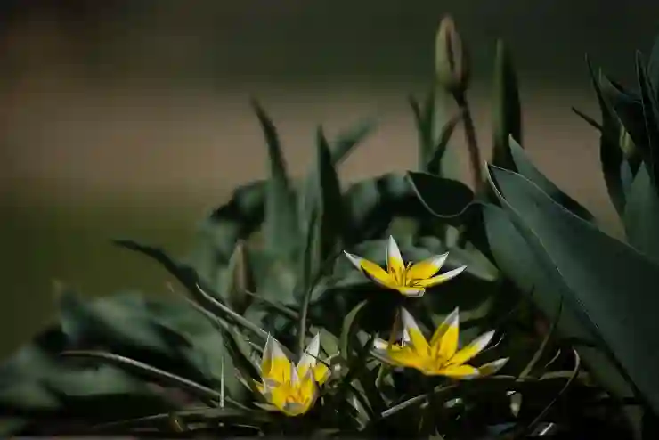 와이파이 연결 안될때 해결할 수 있는 방법 (f. 인터넷 연결 안됨)