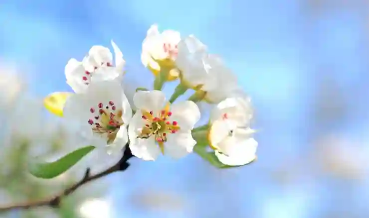 아이폰 통화녹음 '실제' 사용 가능한 몇 가지 방법 (통화 중 녹음 어플 애플워치 활용)