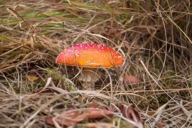 동영상 GIF 변환 움짤 만들기 사이트 이용방법
