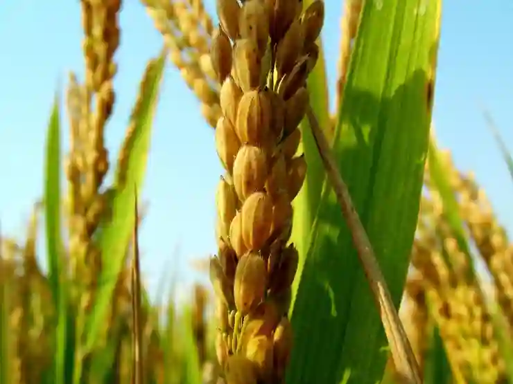 네이버 영수증 리뷰 쓰기 수정 삭제 인증 방법