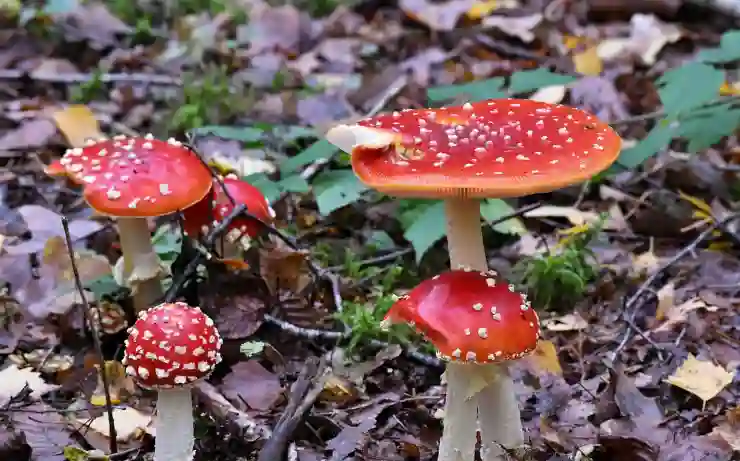 동영상 GIF 변환 움짤 만들기 사이트 이용방법