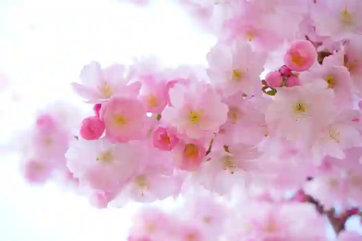 필요한 정보 및 사진(이미지) 