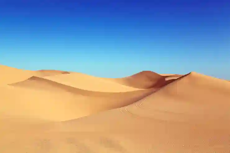 집 핸드폰 