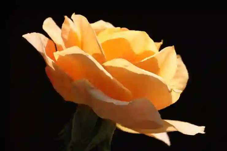 와이파이 연결 안될때 해결할 수 있는 방법 (f. 인터넷 연결 안됨)