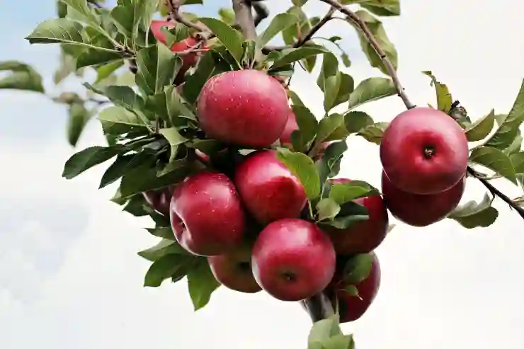 애플 WWDC 2025 