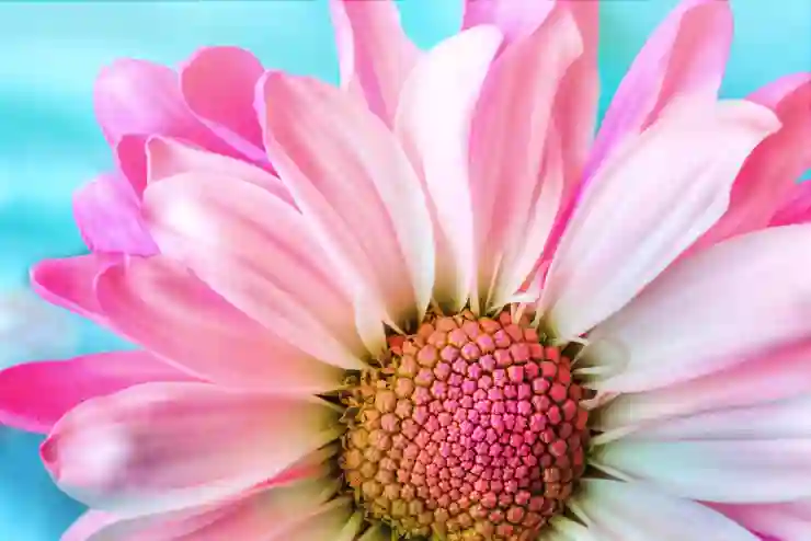 hwpx hwp 변환 및 한글 파일 열기