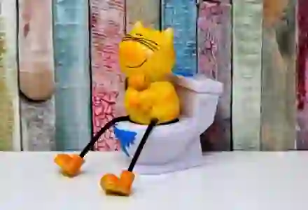 화장실 변기 막혔을때 자가 해결이 안된다면?