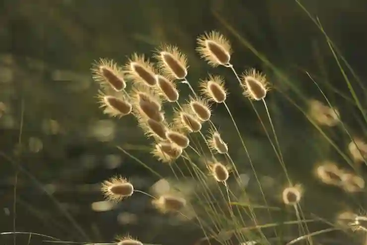 gif 만들기 : 움짤 만드는법 어렵지 않아요 (PC 및 아이폰)