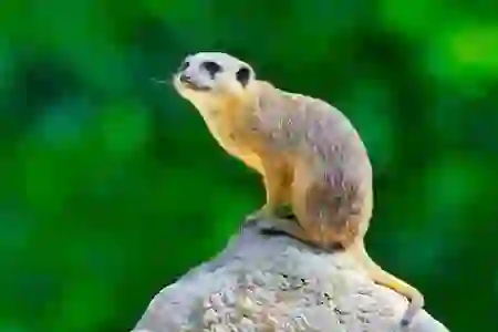 컴퓨터 예약종료 : 바탕화면에서 바로 실행 가능