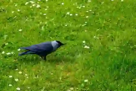 구글 계정 만들기, 삭제 로그아웃은 이렇게