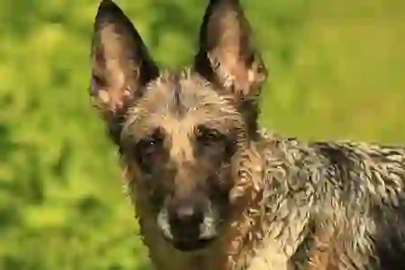 유튜브 이름 바꾸기, 닉네임 변경 로그아웃은 어떻게?