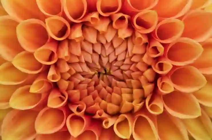 배경 제거의 혁신, remove.bg로 쉽게 누끼 따는 법 알아보기