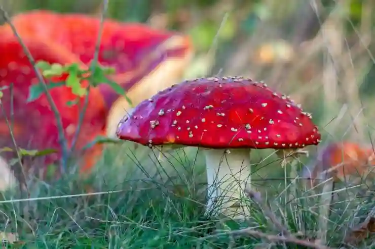 동영상 GIF 변환 사이트 이용 꿀팁 살펴보기