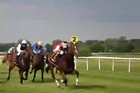 일주일을 스마트하게 정리하는 법