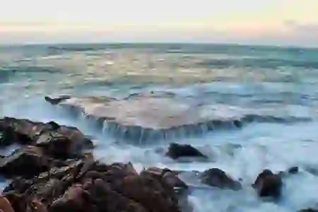 티빙 한 달 무료로 즐기는 네이버 플러스 멤버십 가입과 해지 꿀팁 공개!