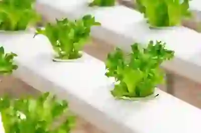 1mbps 속도, 왜 피해야 하는가? 4가지 이유 알아보기