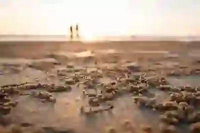 고프로 히어로9 블랙의 매력과 단점, 변화된 기능 완벽 분석!