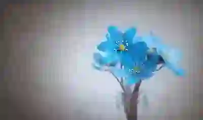 넷플릭스 화질 문제를 간단히 해결하는 팁!