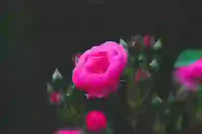 아이폰 무음 모드 진동 세기 조절과 오류 해결하기 팁