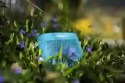 에어팟 연결 문제 해결하는 꿀팁 대공개!