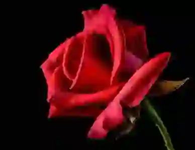 애플케어플러스 완벽 가이드: 가격, 가입방법, 양도 및 해지 방법까지 총정리!