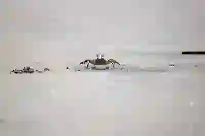 아이폰 통화중 녹음 방법, SKT 에이닷 불가능하다면 KT LG 녹음기능 정리 (어플, 애플워치)