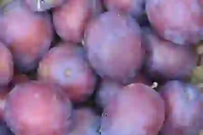 이천 테라스에서 만나본 시몬스 그로서리 스토어