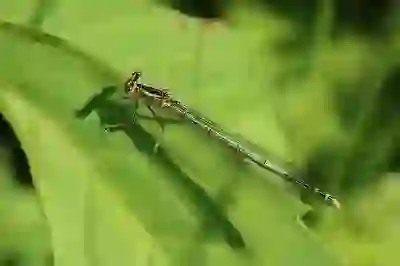 인스타 해킹, 2단계 인증 설정 방법 이제는 필수 !