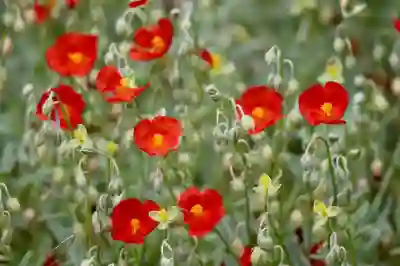 kt 멤버십 영화예매 꿀팁 알아보자