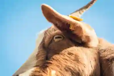 로젠택배 배송조회 쉽게 하는 방법과 기사님 연락처 확인하기