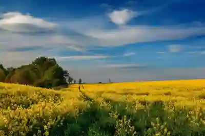 배민클럽 해지 및 환불 방법과 무료체험 해지 시 유의사항 알아보자