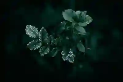 사람인 회원 탈퇴 방법과 재가입 가능 여부 알아보자