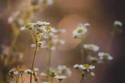 요기패스 한달 사용 후기와 장단점 살펴보기