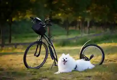 챗GPT 무료 다운로드와 한국어 설정 방법 알아보자