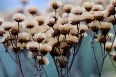 카톡에서 한글 파일 쉽게 여는 방법 알아보자