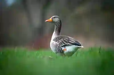 건강기능식품 영업신고증 쉽게 받는 꿀팁 알아보자