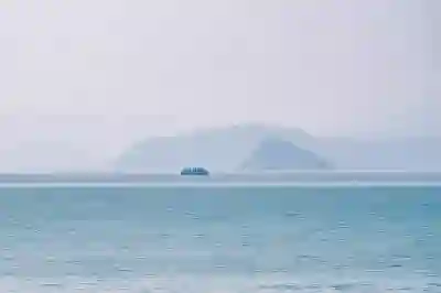 법인 성실신고확인 대상자 확인하는 꿀팁