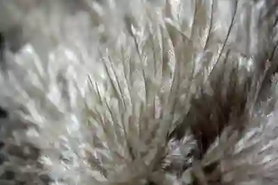 스마트폰 교체 시 카톡 대화와 사진 옮기는 꿀팁 알아보자