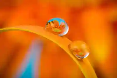 순창 향가유원지에서 여름을 만끽하는 방법 알아보자