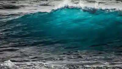 대전 유성구 에너지바우처 신청기간과 지원금을 알아보자