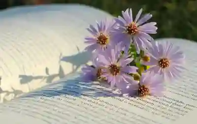 종로구 대상포진 무료접종 신청 방법과 대상자 알아보자