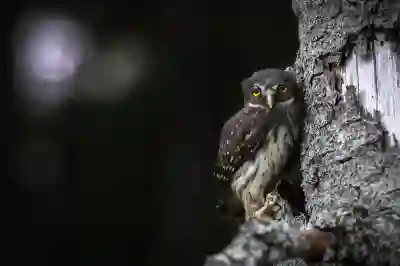 경기도 수원시 농식품바우처 카드 신청방법과 준비서류 알아보자