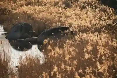 강원 고성군 아이오닉9 보조금과 실구매가 알아보자