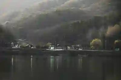 고양시 폴스타4 보조금 조회와 실구매 계산법 알아보자