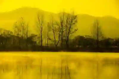 고양시 폴스타4 보조금 조회 및 실구매 계산법 알아보자