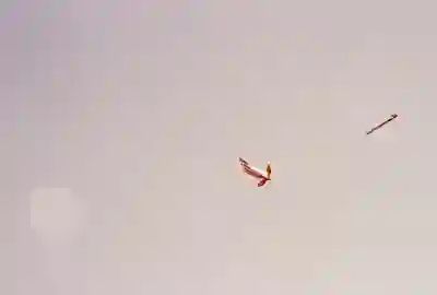 경기 광명시 폴스타4 보조금 조회 및 실구매 계산법 알아보자