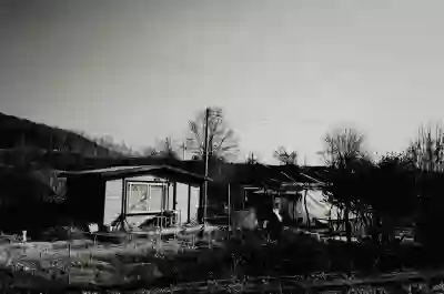 충북 괴산군 아이오닉9 보조금 및 실구매가 알아보자